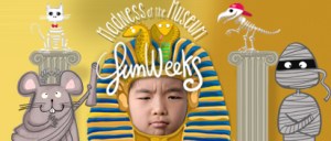 BnGr_412x177_FWMadnessMuseum